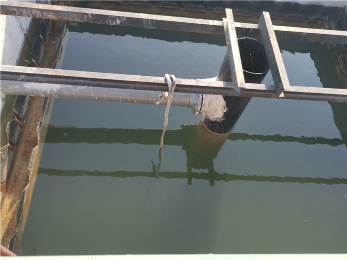 365�췢����(�й�)�ٷ���վ