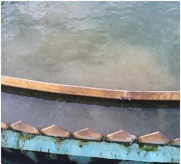 365�췢����(�й�)�ٷ���վ