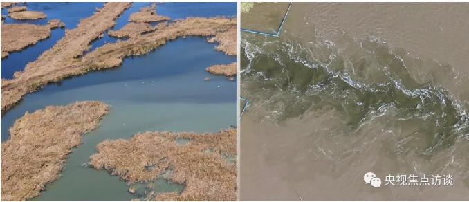 365�췢����(�й�)�ٷ���վ