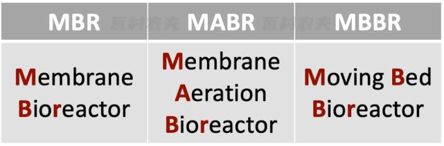 365�췢����(�й�)�ٷ���վ