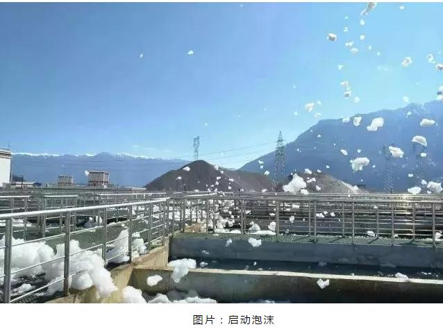 365�췢����(�й�)�ٷ���վ