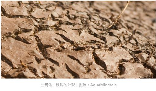 365�췢����(�й�)�ٷ���վ