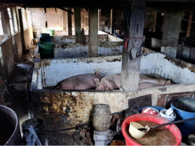 365�췢����(�й�)�ٷ���վ