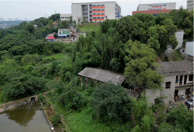 365�췢����(�й�)�ٷ���վ