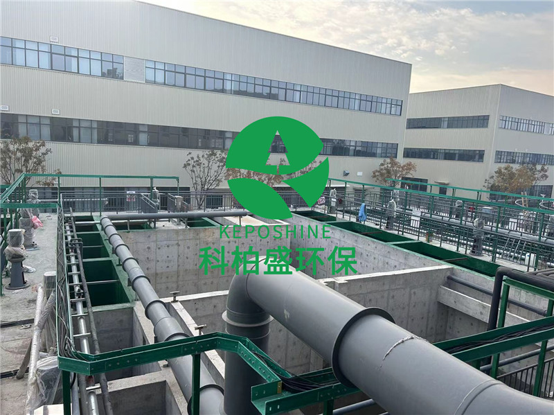 365�췢����(�й�)�ٷ���վ