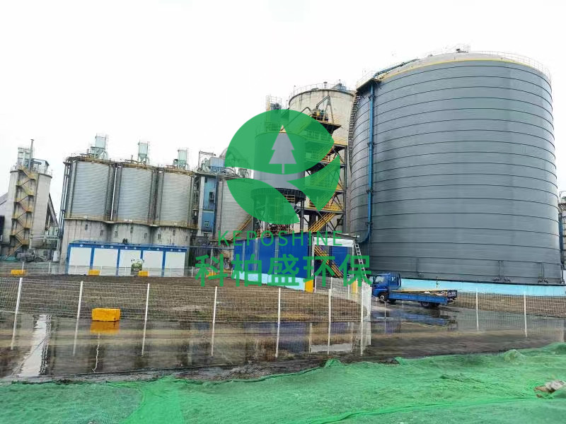 365�췢����(�й�)�ٷ���վ