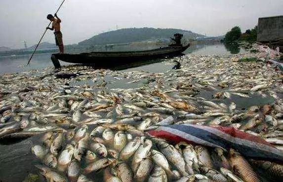 365�췢����(�й�)�ٷ���վ